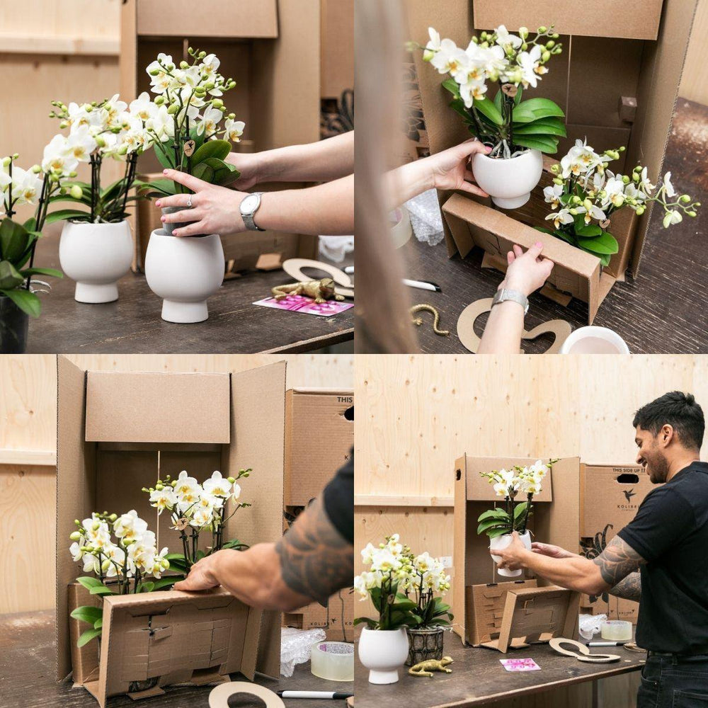 
                      
                        Le Chic Blumentopf – Weißer dekorativer Keramiktopf mit silbernen Details – Ø6 cm
                      
                    