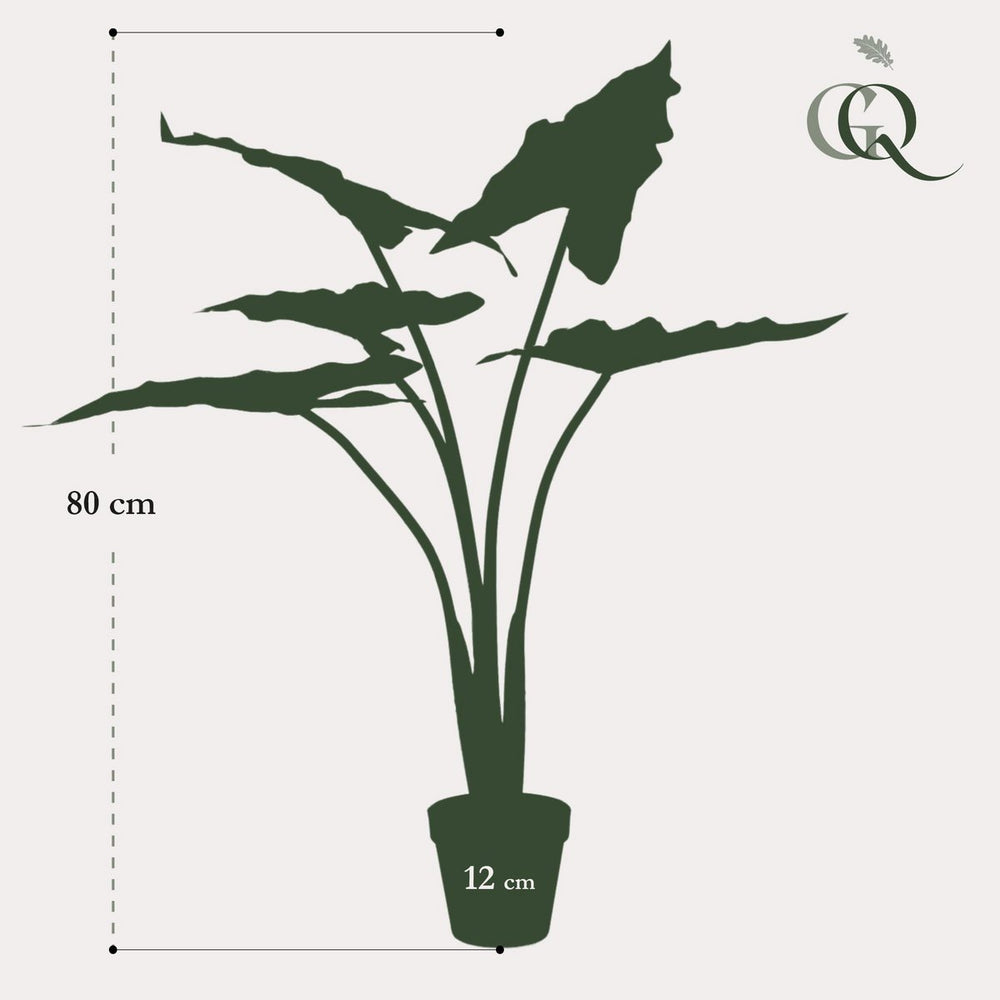 
                      
                        Kunstpflanze - Alocasia Frydek - Elefantenohr - 80 cm
                      
                    