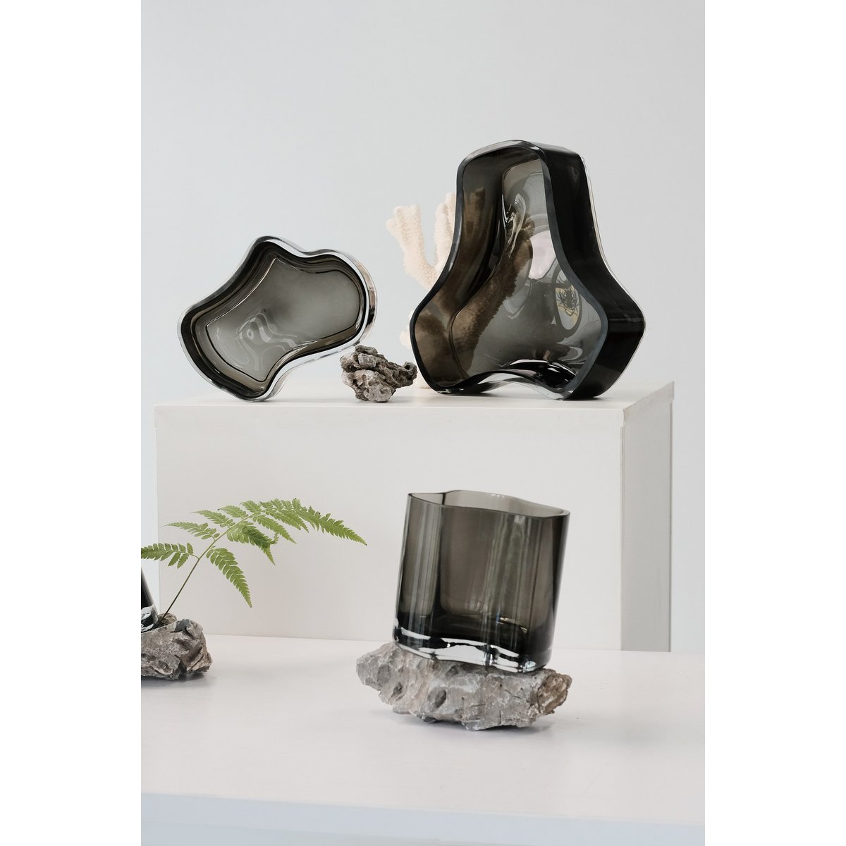 Coral Schale in Grau