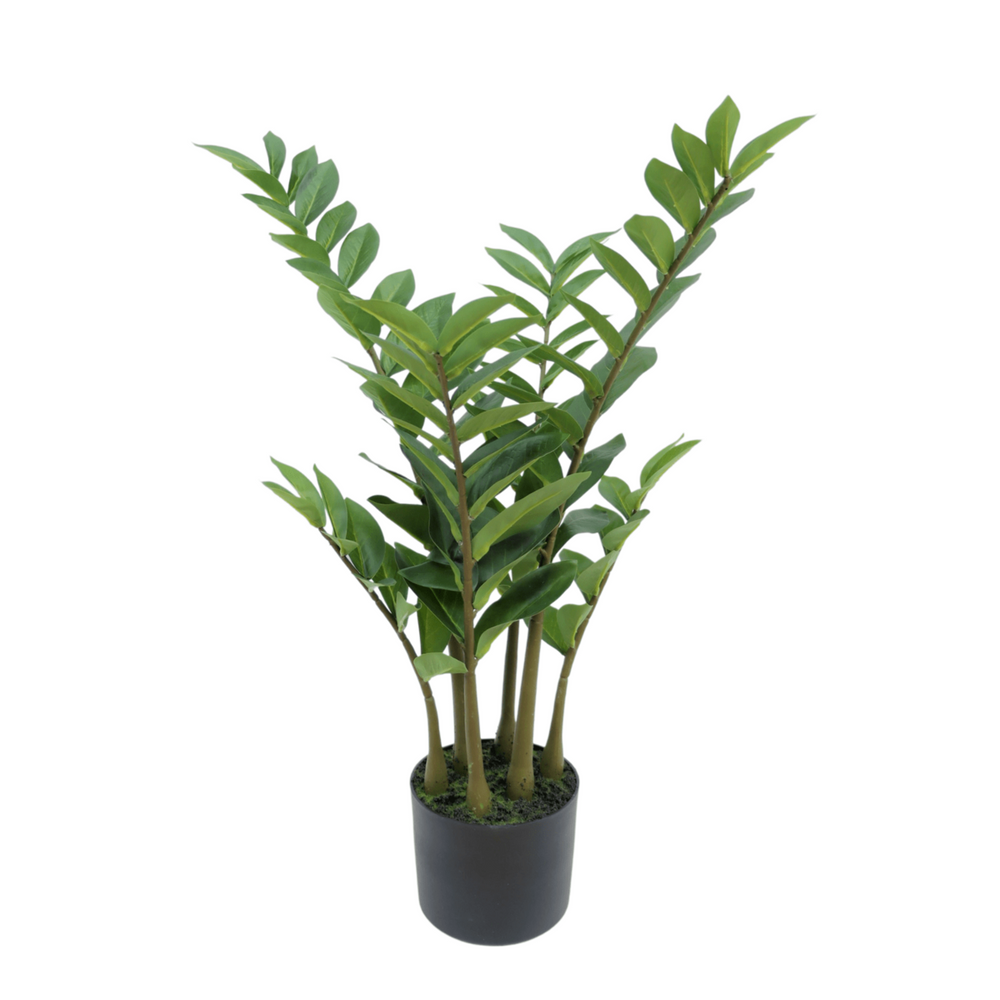 
                      
                        Zamioculcas Kunstpflanze 75cm
                      
                    