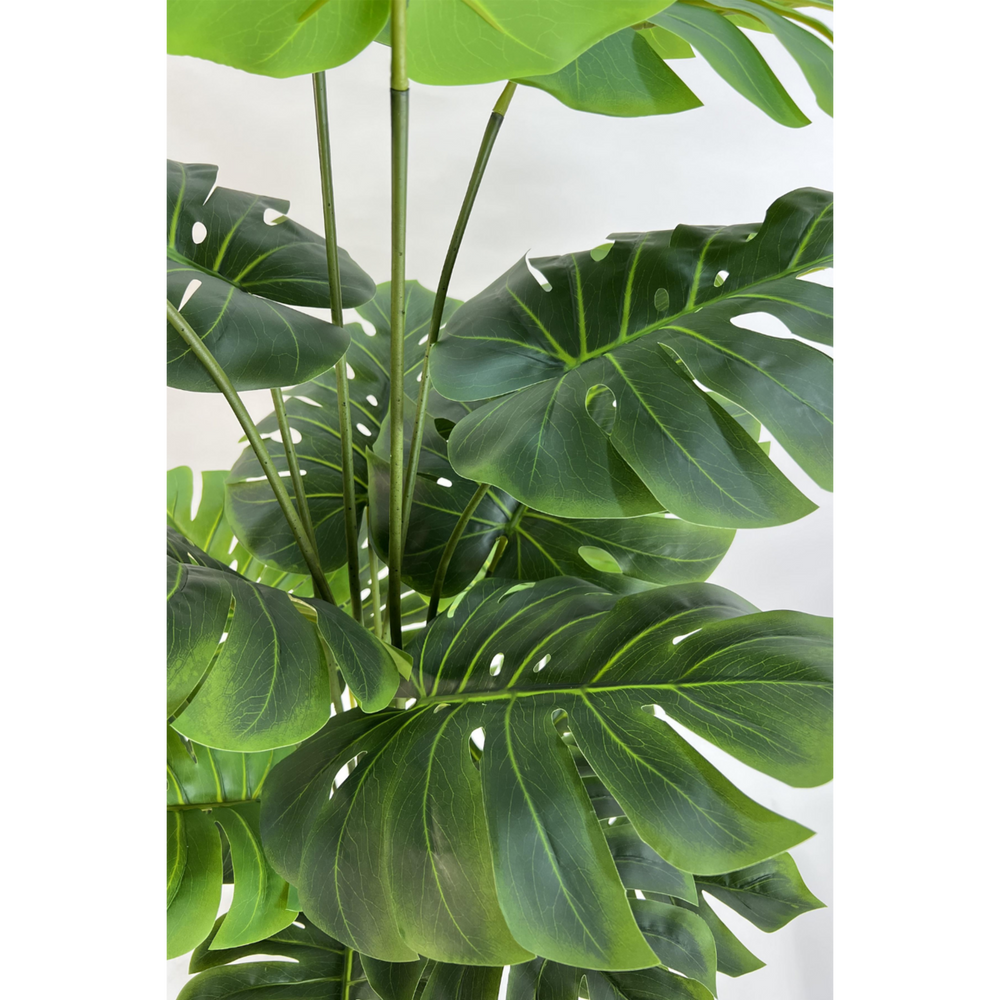 
                      
                        Monstera Kunstpflanze 165cm
                      
                    