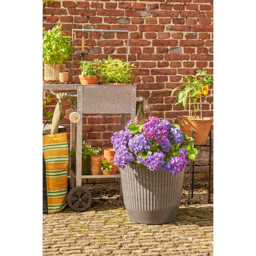 
                      
                        Rio Outdoor-Blumentopf – H41 x Ø45 cm – Dunkelgrau
                      
                    