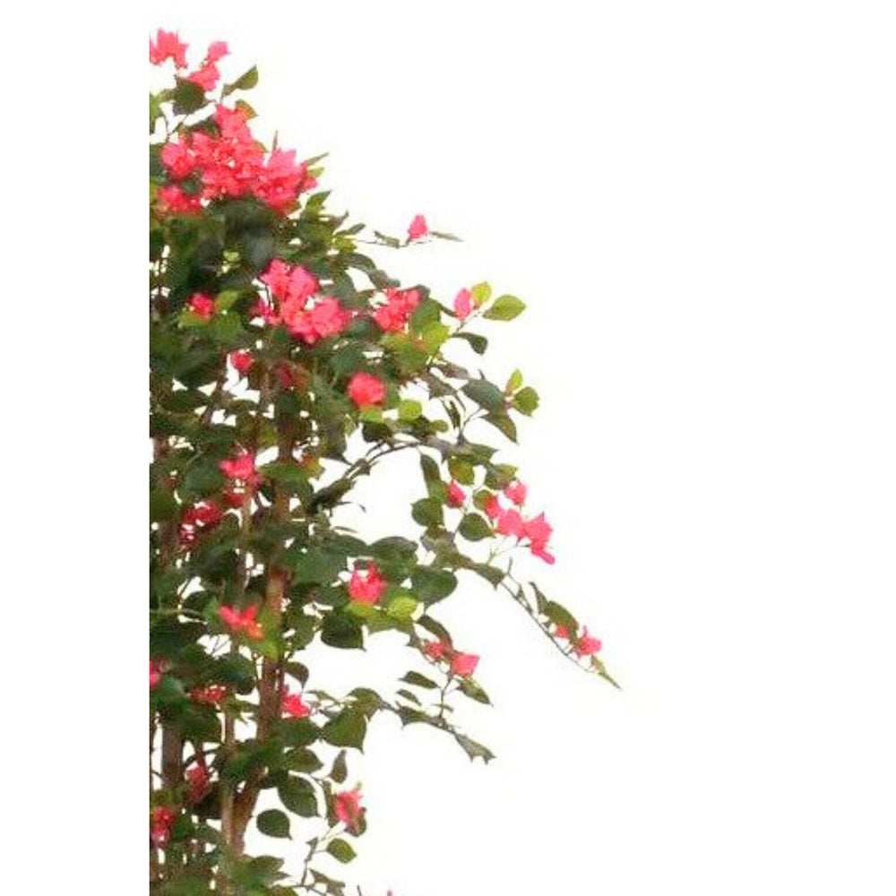 Bougainvillea Kunstpflanze 180cm