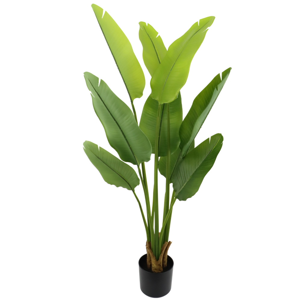 
                      
                        Künstliche Strelitzia-Pflanze 120 cm
                      
                    