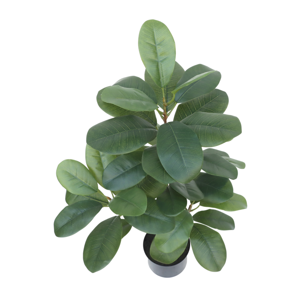 
                      
                        Ficus Kunstpflanze 80cm
                      
                    