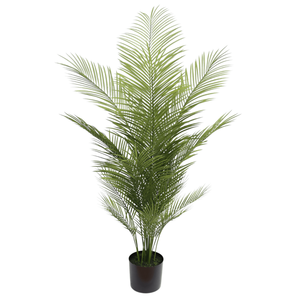 
                      
                        Künstliche Palme 150cm
                      
                    