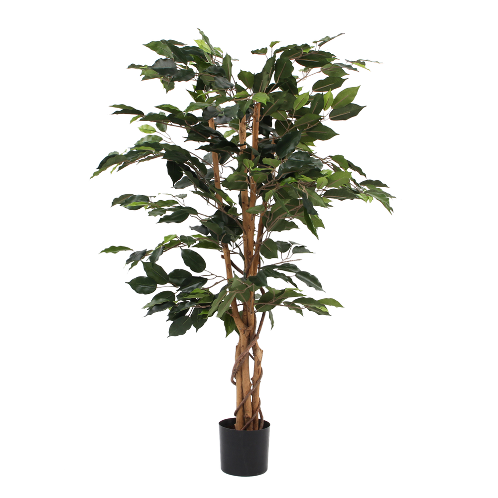 
                      
                        Künstliche Ficus-Pflanze – H110 x Ø65 cm – Grün
                      
                    