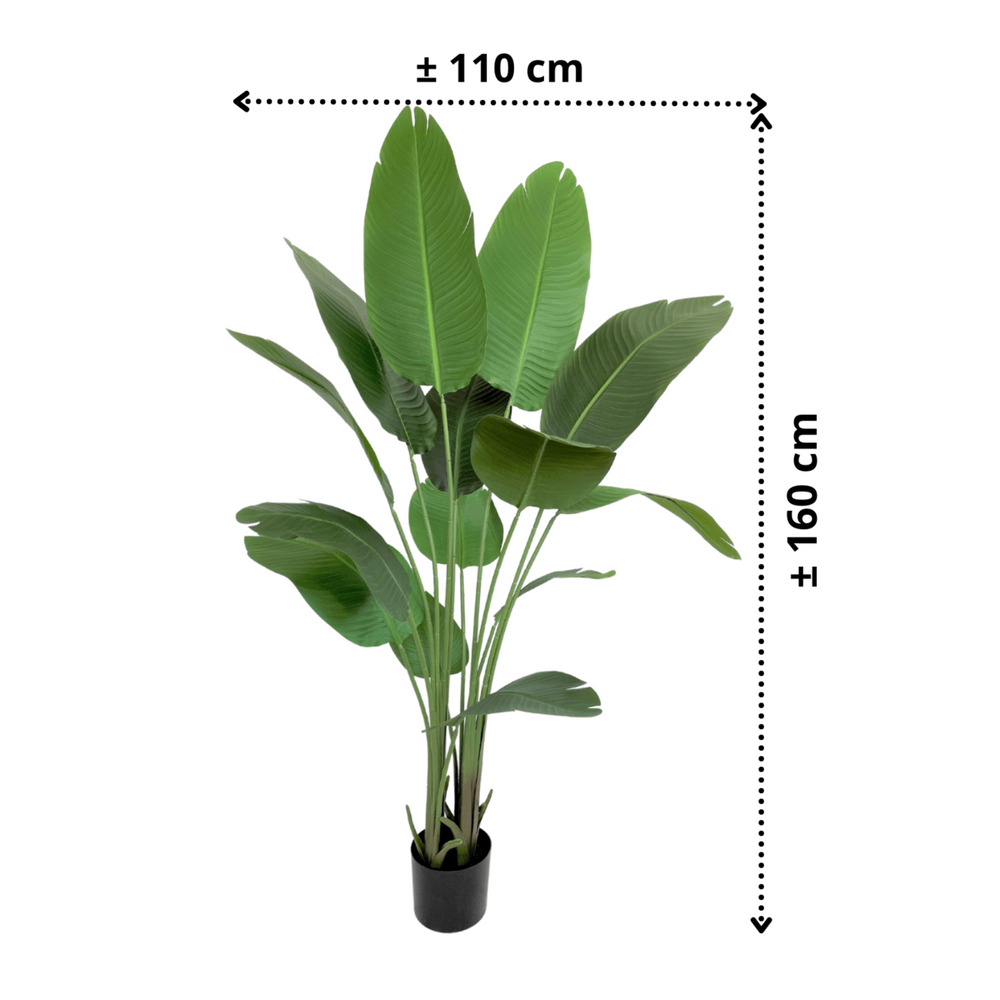 
                      
                        Künstliche Strelitzia-Pflanze 160 cm
                      
                    