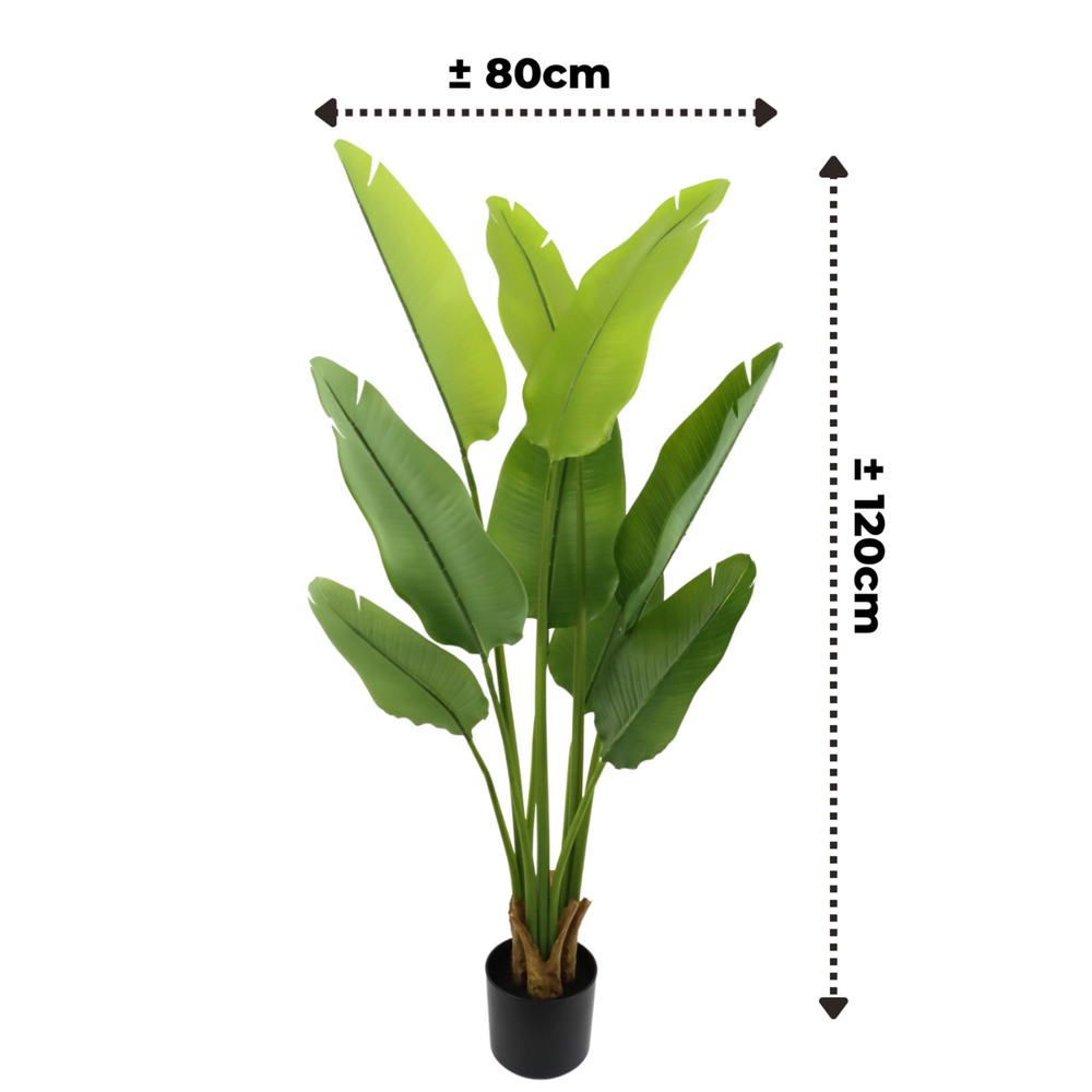 
                      
                        Künstliche Strelitzia-Pflanze 120 cm
                      
                    