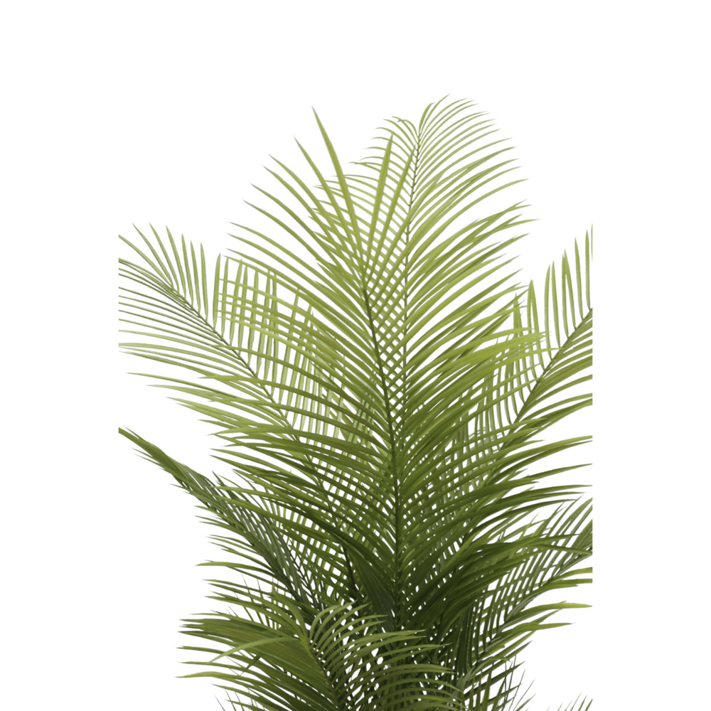 
                      
                        Künstliche Palme 150cm
                      
                    