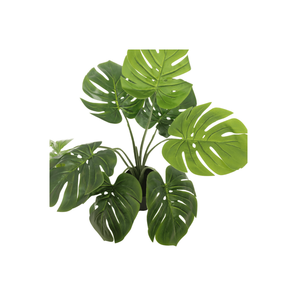 
                      
                        Monstera Kunstpflanze 60cm
                      
                    