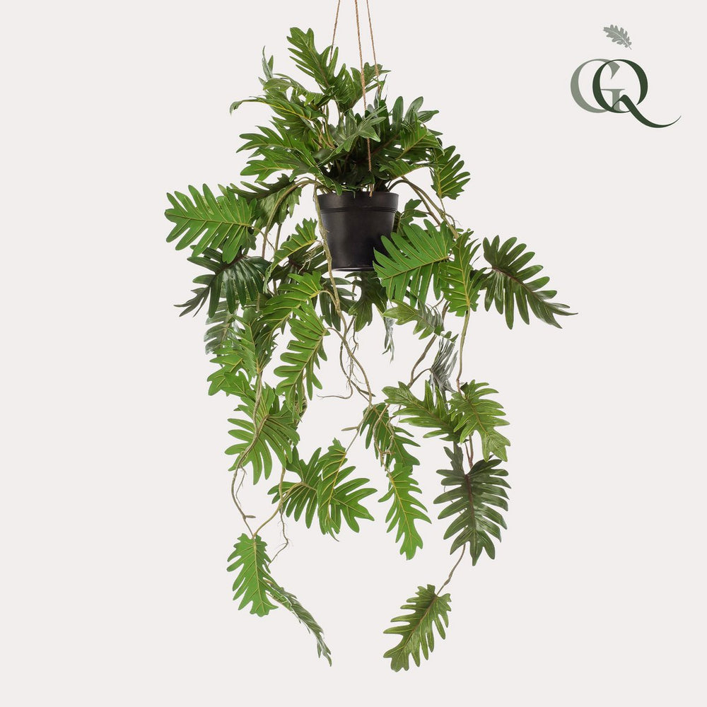 
                      
                        Kunstpflanze - Philodendron - Kletterbaumliebhaber - 80 cm
                      
                    