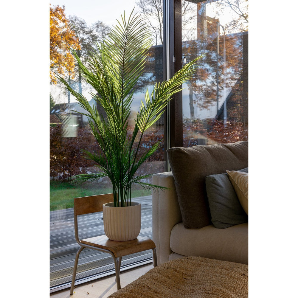 
                      
                        Künstliche Palme 120cm
                      
                    