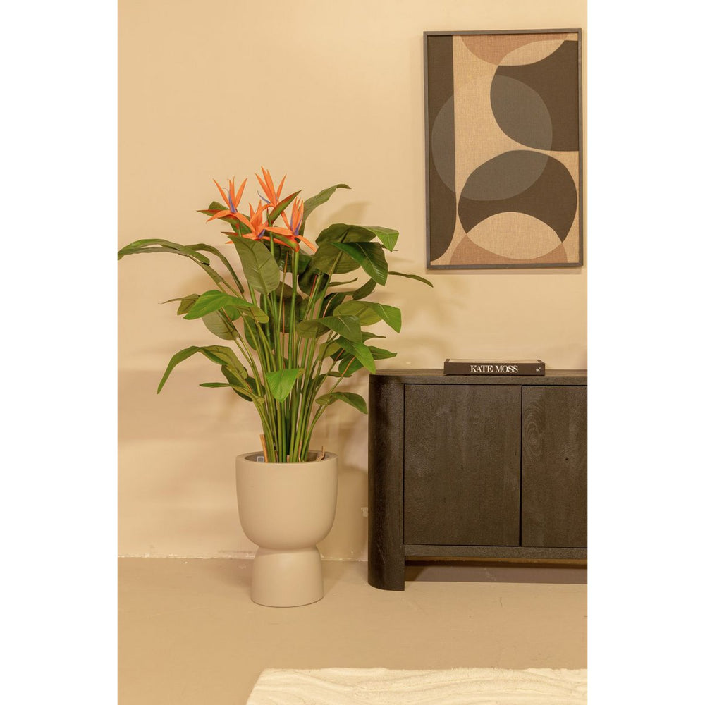 
                      
                        Strelitzia Kunstpflanze 120cm mit Blüte
                      
                    